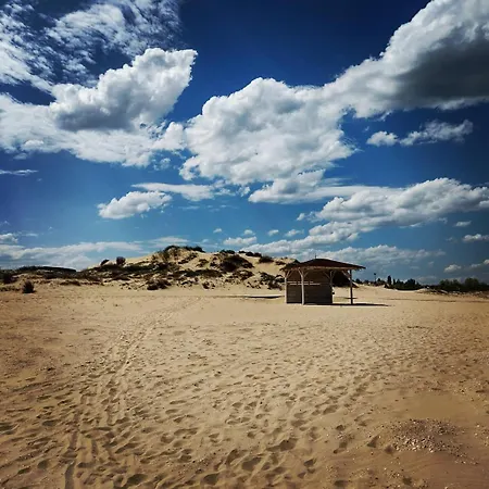 شقة Aleksiev Sunny Day 1 ساني بيتش